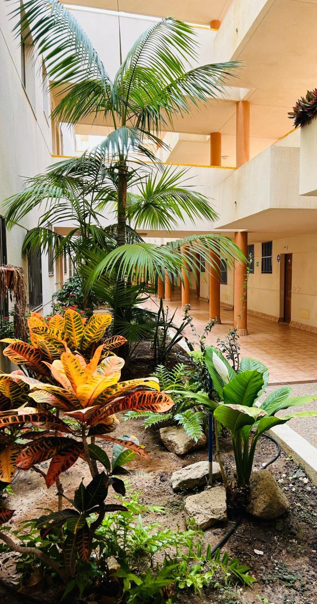 El Medano La Ola. Cabezo Beach 2 rooms parking place Exterior foto